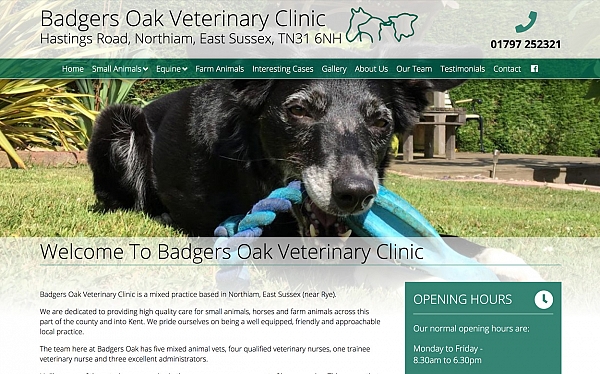 Click to find out more about the Badgers Oak Veterinary Clinic website